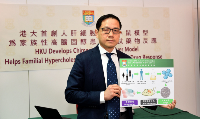 HKU is the first to develop the use of chimeric stem cell mouse model to test the pharmacological effects of familial hypercholesterolemia drugs in vitro and in vivo.  